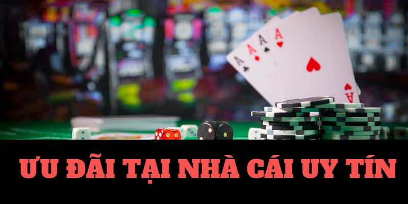 10bet-Khám phá thế giới của trận đấu - Trực tiếp bóng đá! 10bet-Khám phá thế giới của trận đấu - Trực tiếp bóng đá!